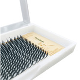 پالت مژه ژورنالی فن آماده گندم (سانی مون)